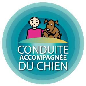 Conduite Accompagnée du Chien et du Chat